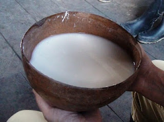 Masato colado bebida prehispanica de yuca