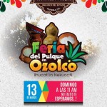 Feria del Pulque en San Mateo Ozolco, Puebla.