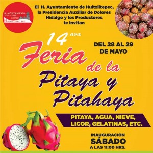 Feria de la Pitaya y de la Pitahaya