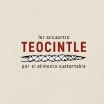 Teocintle: Primer encuentro por el alimento sustentable