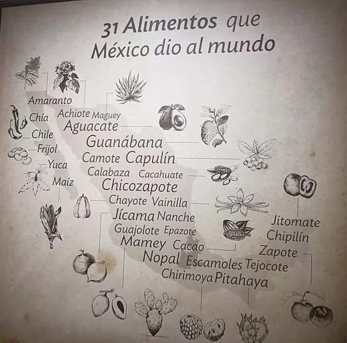 31 Alimentos que México dió al mundo. Artes de México.
