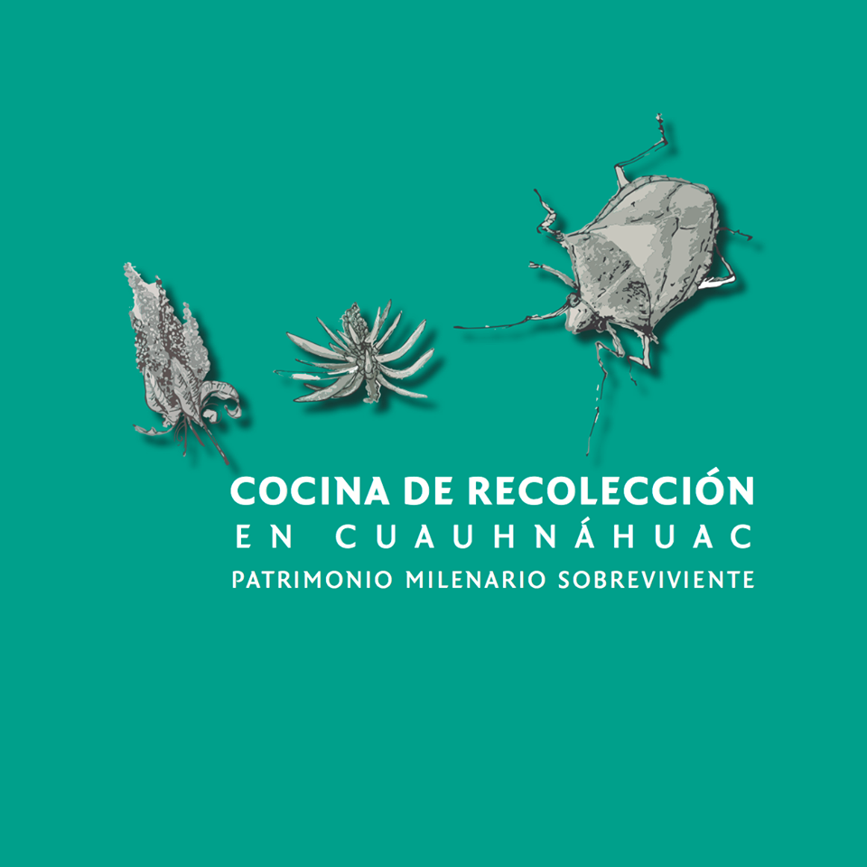 Libro sobre cocina de recolección en Cuauhnáhuac. Incluye recetario.