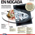 Radiografía de los Chiles en Nogada