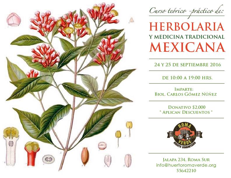 curso de herbolaria mexicana