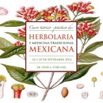 Curso Teórico Práctico de Herbolaria y Medicina Tradicional Mexicana, CDMX.