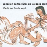 Sanaciones con “raíz de tuna” durante la época prehispánica.