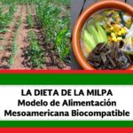 Libro digital «La dieta de la MILPA». Descarga en PDF