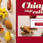 Recetario «Chiapas un viaje Culinario»  Libro digital.
