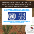 Oferta laboral a distancia: «Servicios de Consultoría en restauración de ecosistemas forestales» UNDP, México.