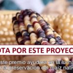 Vota por TOTOMOXTLE. Proyecto inspirado en el maíz Mexicano.