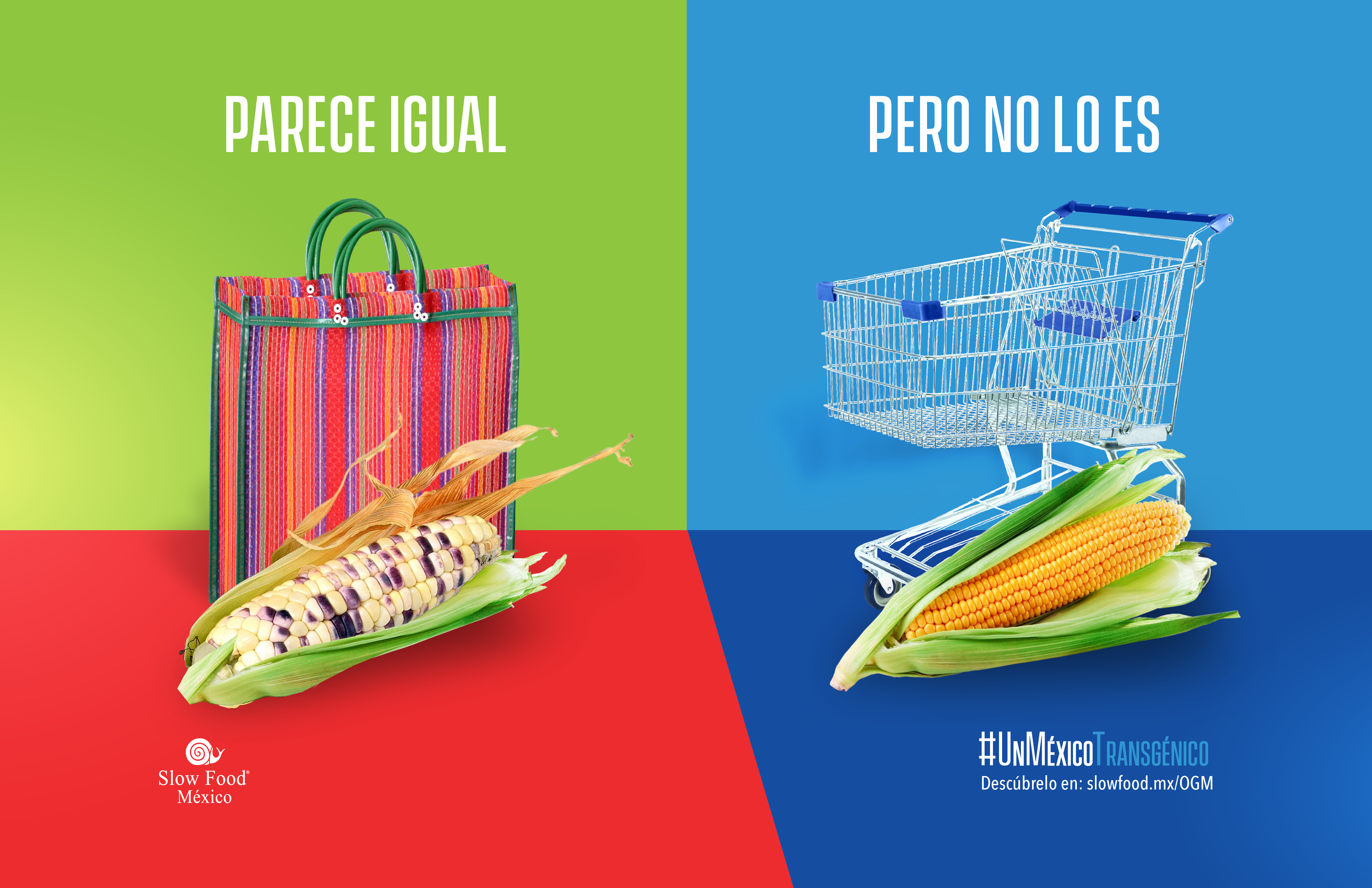 Parece igual pero no lo es, únete a la campaña «Un México Transgénico» Slow Food México