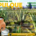1er. Festival de Pulque de Singuilucan Hidalgo, domingo 18 de febrero