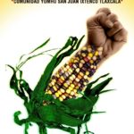 Apoya la Fiesta del maíz de Ixtenco Tlaxcala #Marzo 2018  ¡No a los transgénicos!