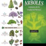 Descarga gratis la guía de árboles comunes de la Ciudad de México. #DíaDelÁrbol 