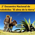 II Encuentro Nacional de Etnobebidas «El alma de la tierra».