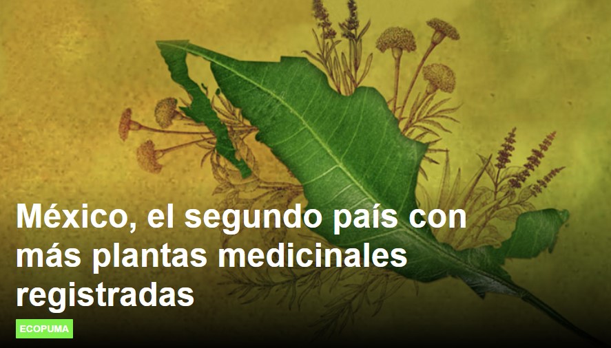 Es México uno de los paises con mayor número de plantas medicinales registradas.
