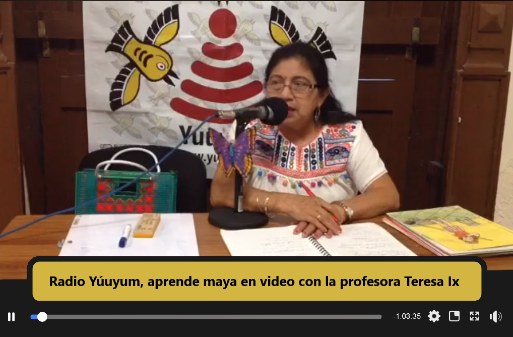 Aprende lengua maya en video gracias al colectivo Radio Yúuyum.
