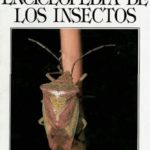 Descarga el libro digital «La gran enciclopedia de los insectos»