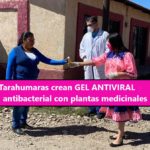 Tarahumaras crean GEL ANTIVIRAL y antibacterial a base de plantas endémicas para ayudar a familias de escasos recursos a luchar contra el Covid-19