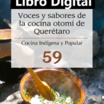 E- Book «Voces y Sabores de la Cocina del Semidesierto de Querétaro» (Cocina indígena y Popular 59; Héctor Latapí López