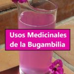 Conoce los usos medicinales de la BOUGANVILLIA o Bugambilia