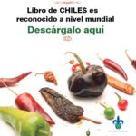 Este libro de CHILES fue reconocido a Nivel Mundial – Descárgalo aquí