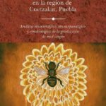 PDF – Estudio de MELIPONCULTURA producción de miel virgen en Cuetzalan, Puebla