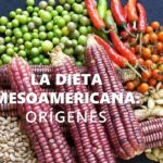 Documental » Orígenes de la dieta MESOAMERICANA»