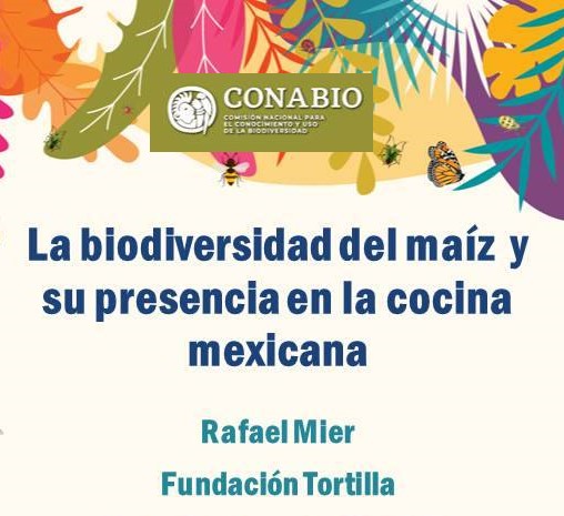 #EnVivo «La biodiversidad del maíz y su presencia en la COCINA MEXICANA» con Rafael Mier, de Fundación Tortilla.