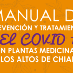 Manual descargable: «Plantas MEDICINALES de Chiapas para fortalecer el sistema inmunológico y prevenir el COVID-19»