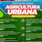Taller virtual de Agricultura Urbana, totalmente gratuito.