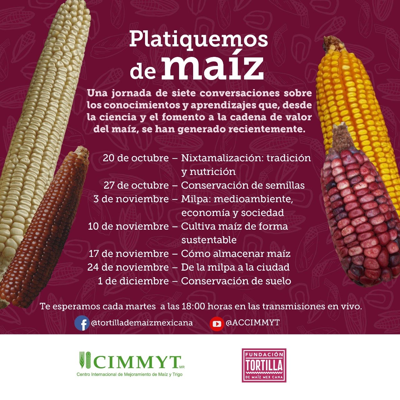 Participa en el ciclo de conversatorios «Platiquemos de maíz» de Fundación  Tortilla y el CIMMYT – Cultura y Delicias Prehispánicas