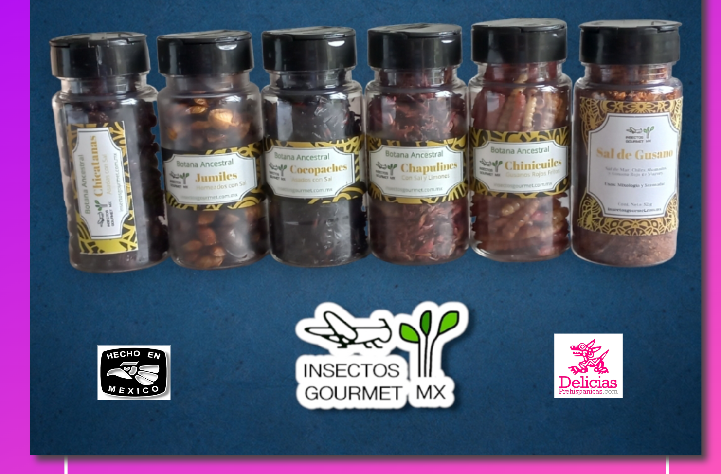 Compra Online de Insectos Comestibles mexicanos